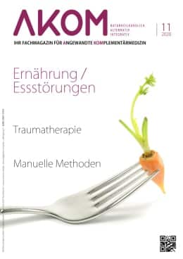 Akom-magazin-11-2020