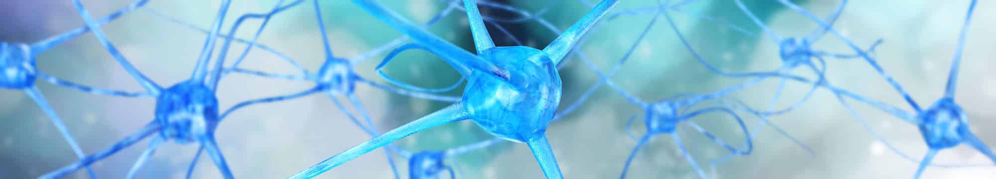 Neuronennetzwerk